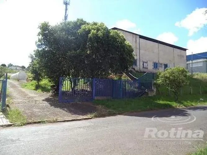 Galpão para alugar, Distrito Industrial - Uberlândia/MG - Rotina Imobiliária
