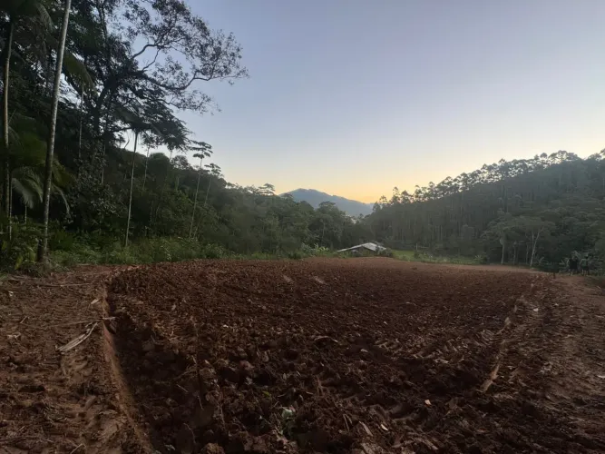 Oportunidade Rara: 11.000m² com Cachoeira e Mata Nativa Preservada ?