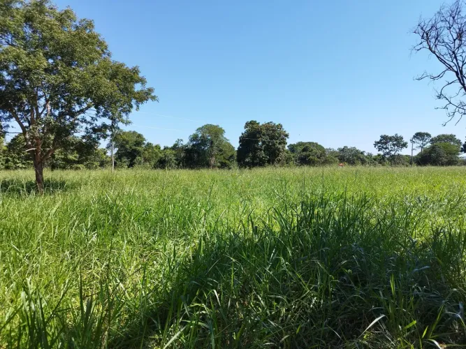 Excelente sítio na beira do Rio Jequitaí