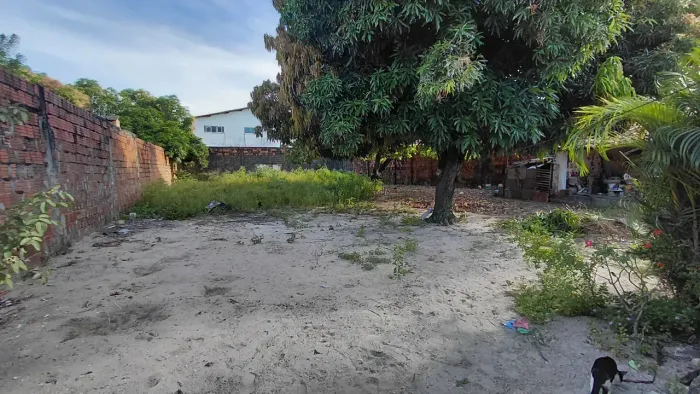 Terrado no Álvaro Weyne