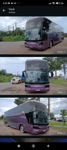 Comil hd champione