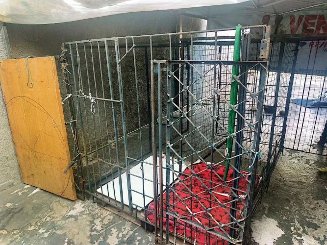 Vende-se canil 