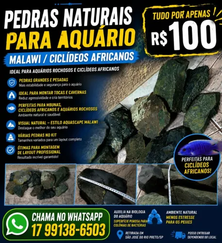 Rochas para Aquário 