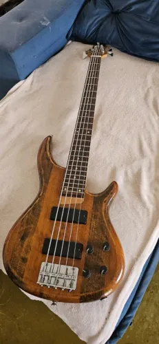 Baixo de luthier 5 cordas