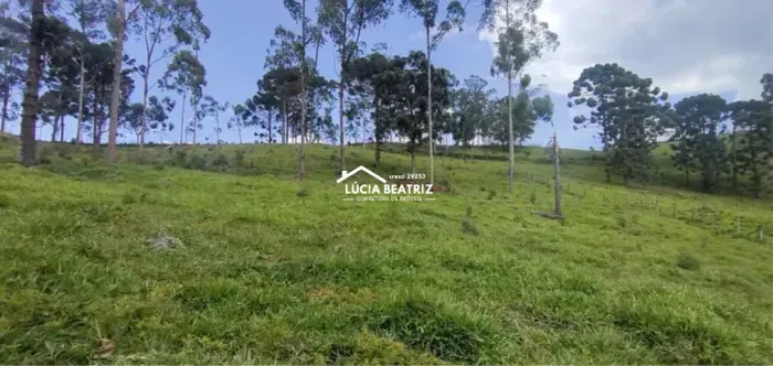 Excelente Sítio de 3,6 Hectares, localizado em Delfim Moreira - Sul de Minas Gerais
