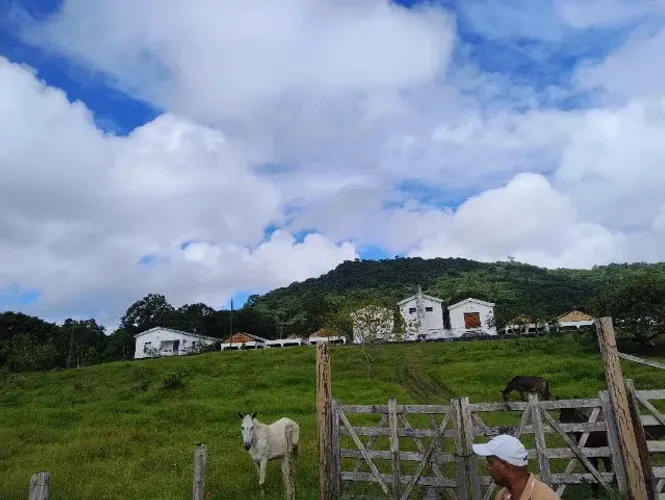 FAZENDA DE CACAU MUITO PRODUTIVA NO SUL DA BAHIA!