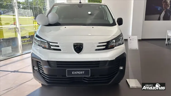 Peugeot Expert Cargo 2.2 Turbo Diesel 2026