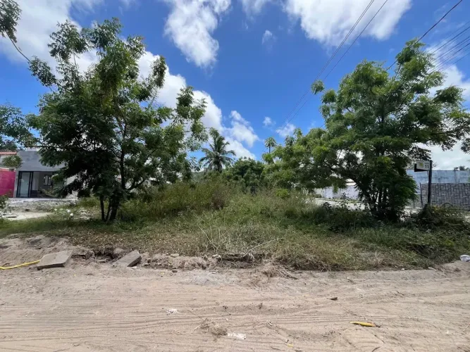 Lote 450m² de esquina no porto coqueiral, porto de galinhas, loteamento arborizado
