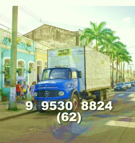Frete Mudança/Frete Bau com Segurança e Qualidade para Você!