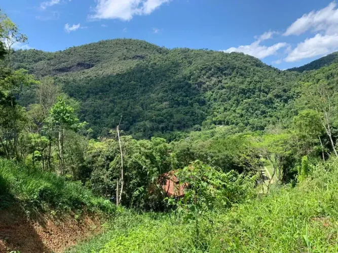 Terreno em condomínio para venda possui 3990 metros quadrados em Pedro do Rio - Petrópoli