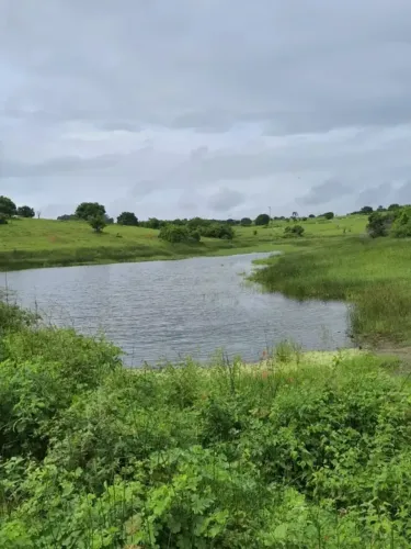 Fazenda com 30 hectares na região de Monte Alegre