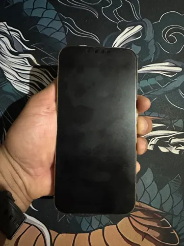 iPhone 13 Pro Max 256 Gb
