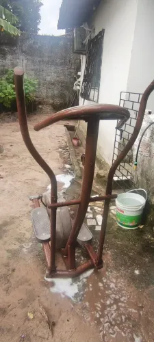 Elipitica