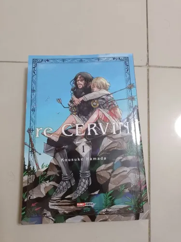 Re Cervin 1