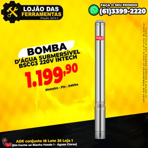 Bomba Dágua Submersível Bscg3 Poço Artesiano 220v Intech