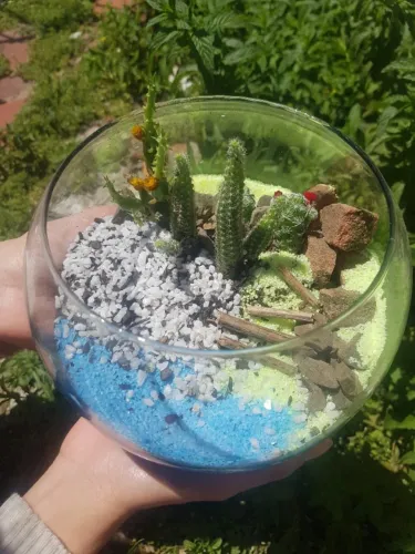 terrários