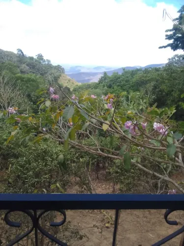 VENDO / TROCO / FINANCIO...SÍTIO EM MULUNGU DIVISA COM GUARAMIRANGA E ARATUBA