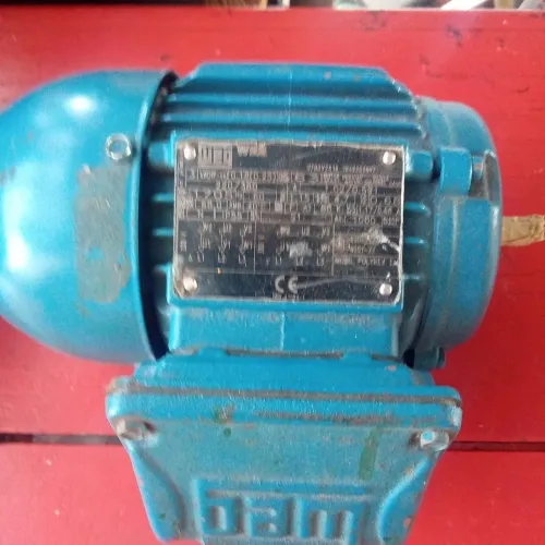 Vende-se motor elétrico trifásico de indução.