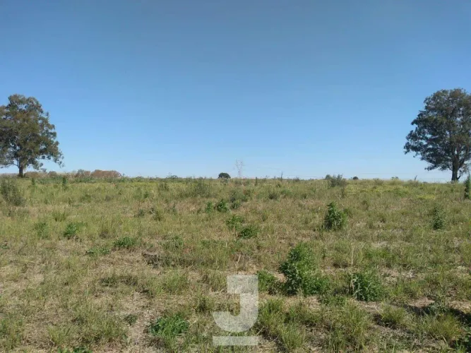 Terreno à Venda - Campo Novo, Bragança Paulista - 20.000m2