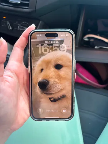 iphone 17 512 gb branco 