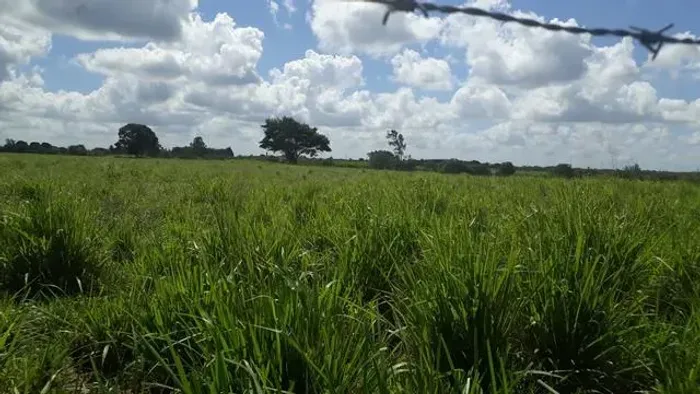 Fazenda com 142 hectares em vera cruz estruturada