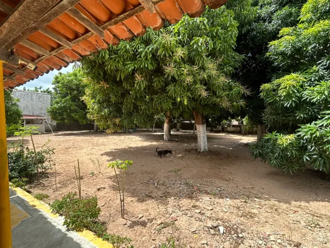 Vendo 3 Lote 6,5x36 Aquiraz/CE