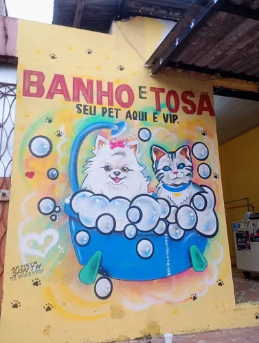 Grafiteiro MANAUS Pintor