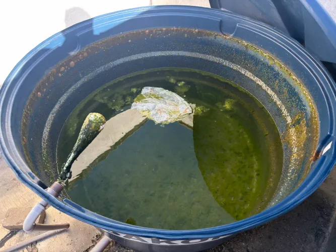 LIMPEZA DE CAIXA D'AGUA A PARTIR DE $150 | LAUDO | GRANDE ILHA | ATENDO HOJE