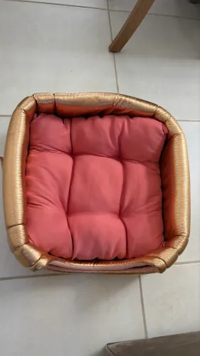 Casinha para cachorro 