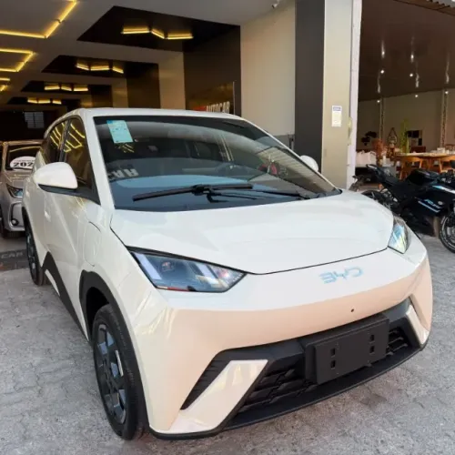 BYD Dolphin Mini (Elétrico) 2027