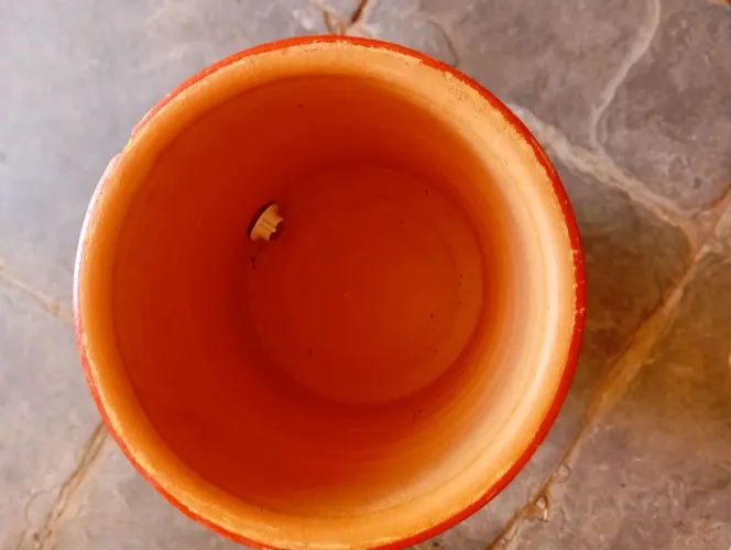Filtro de barro 