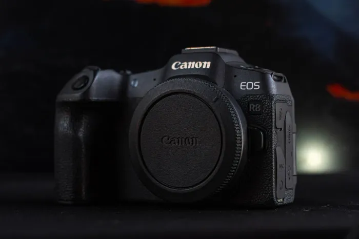 Canon R8 + RF 35mm + RF 100-400