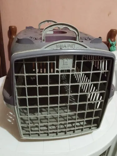 Casinha para pet 