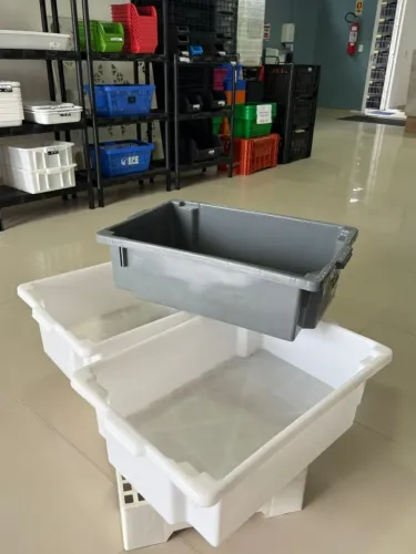 Caixa de pescados 