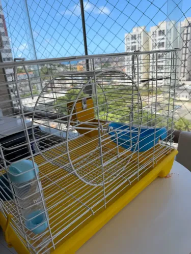 Gaiola Para Hamster GRANDE, com roda giratória.