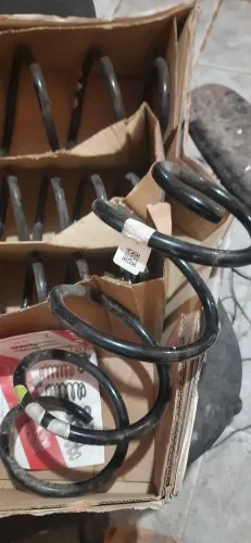 Mola do polo novo
