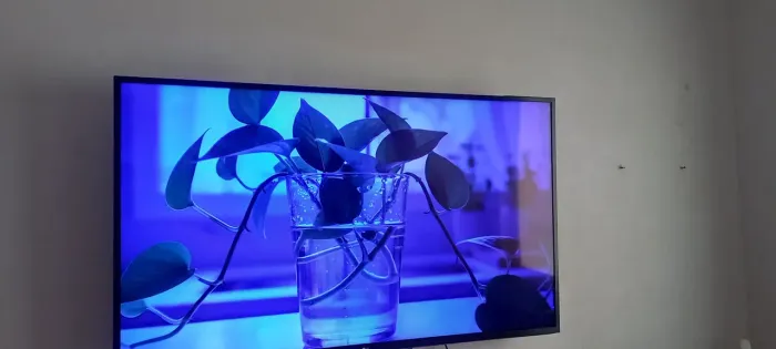 Smart Tv 55 LG