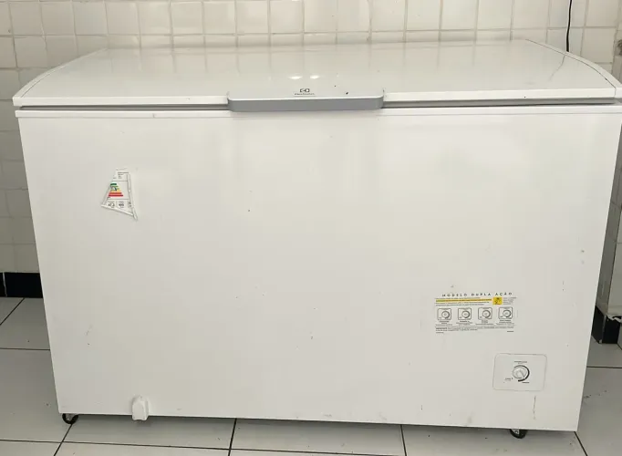 Frezeer- Electrolux 400L