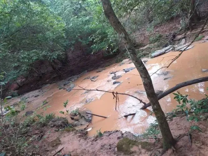 SÍTIO 6 HECTARES NA REGIÃO SÃO JOÃO DA LAGOA