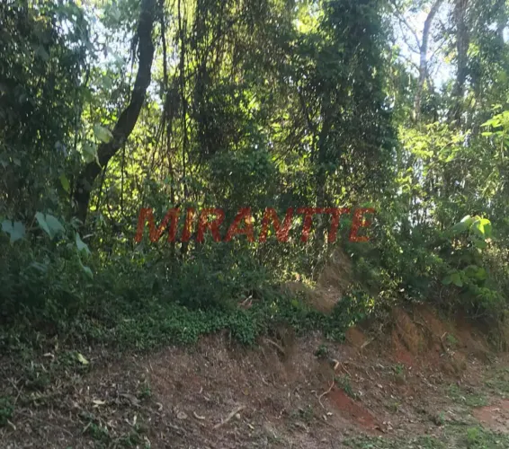 Terreno em Serra da Cantareira