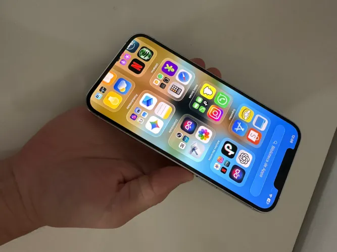iPhone 12 Pro Max
