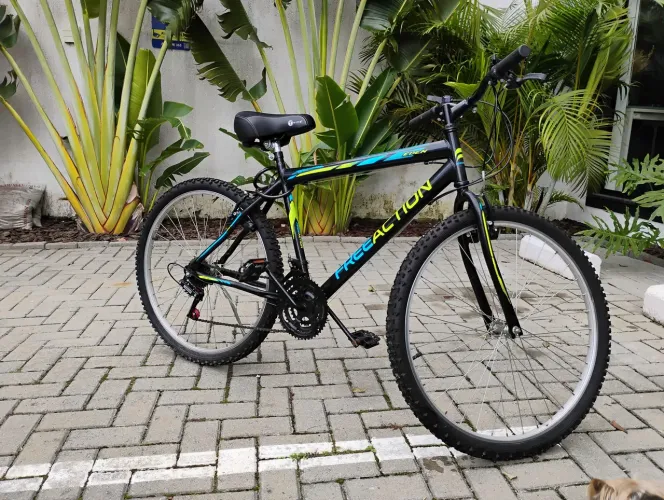 Bicicleta