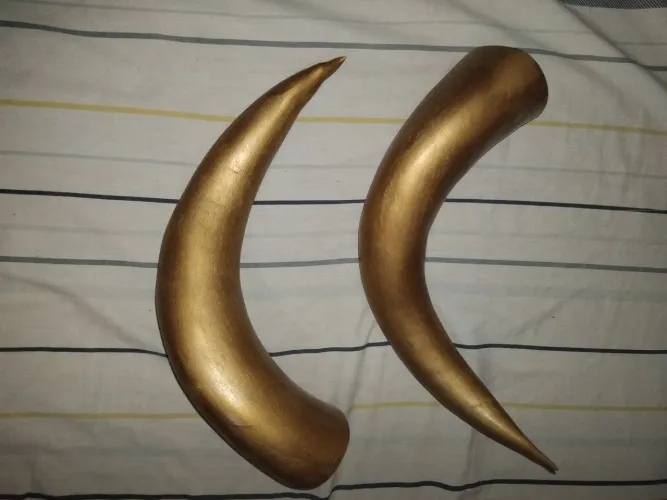 Chifre de Boi Para Artesanato