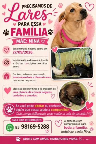 Adoção responsável