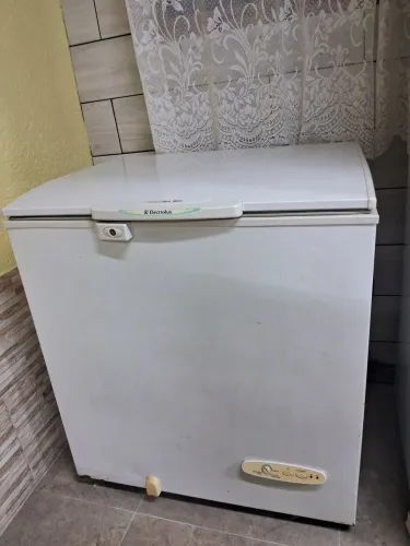 Freezer vertical