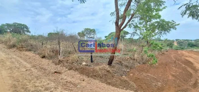 Terrenos à venda em Vila Maria Regina!