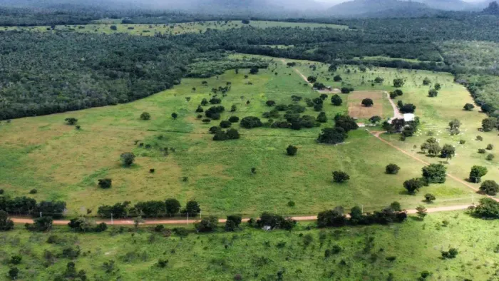 Fazenda á venda em Palmeirais no Piauí, 220 hectares com 140 ha de pasto, a 120 km de Ter