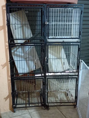 Vendas de equipamentos profissional Pet shop