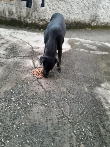 Doação 