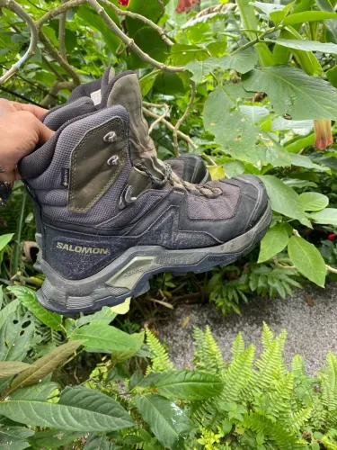 Salomon 